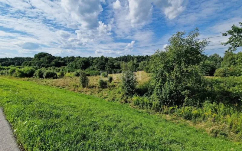 Działka na sprzedaż Żarki