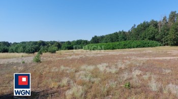 Działka budowlana na sprzedaż Bogaczów